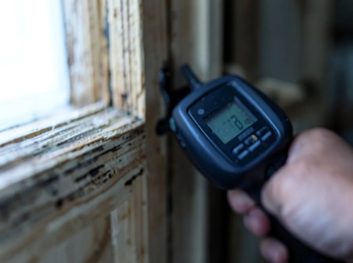Commercial Water Damage Restoration in Alpine, UT